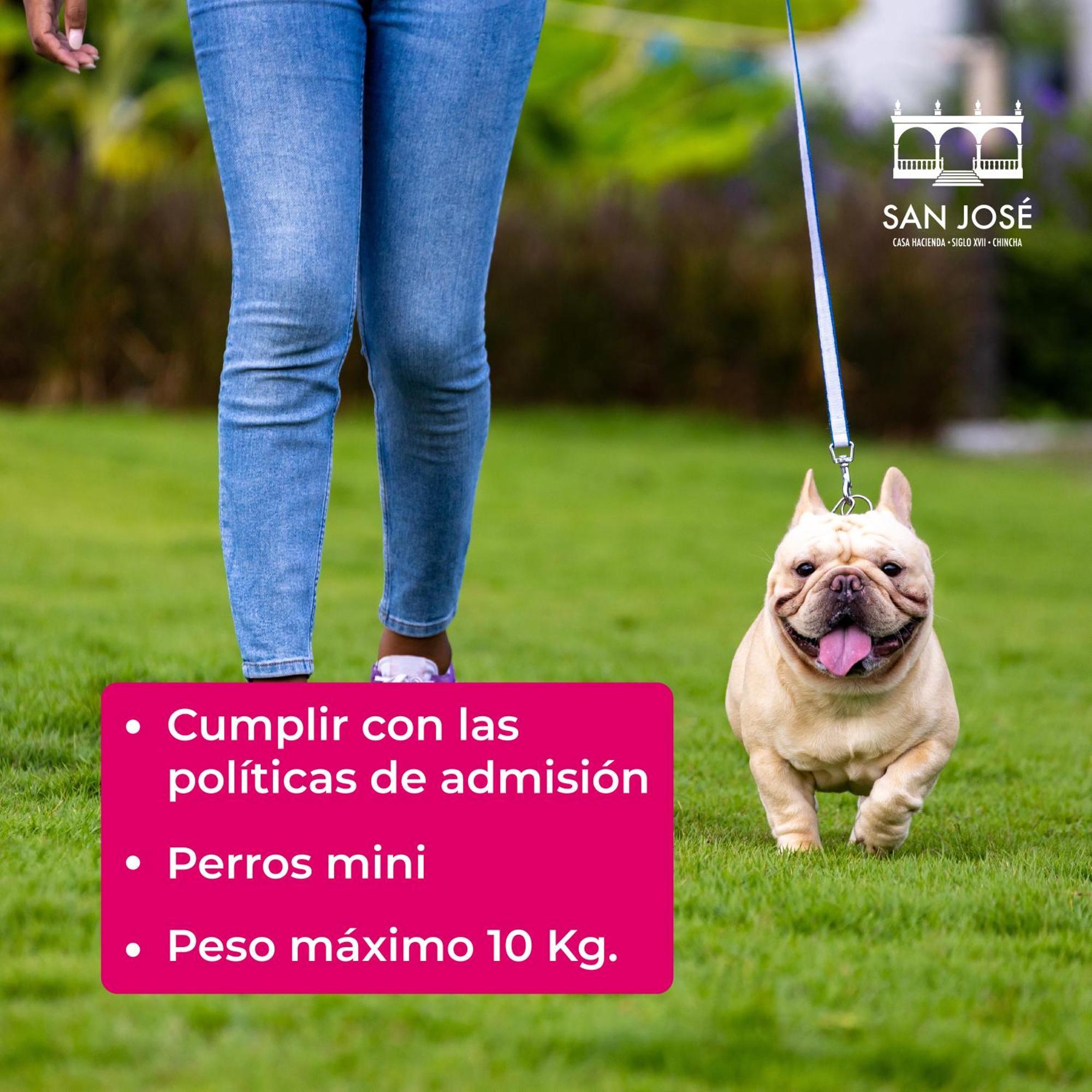 Casa Hacienda San Jose Otel Chincha Alta Dış mekan fotoğraf