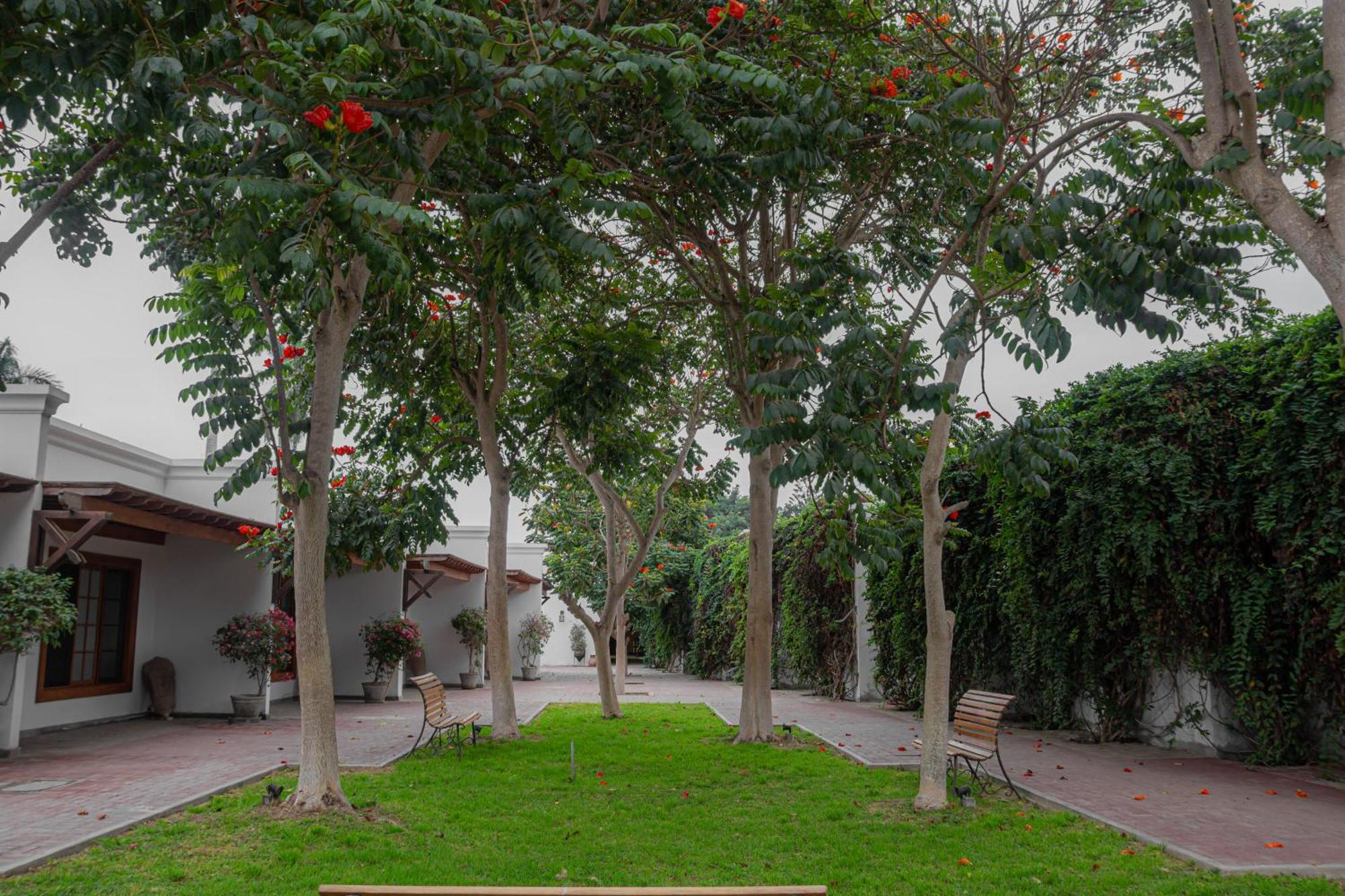 Casa Hacienda San Jose Otel Chincha Alta Dış mekan fotoğraf