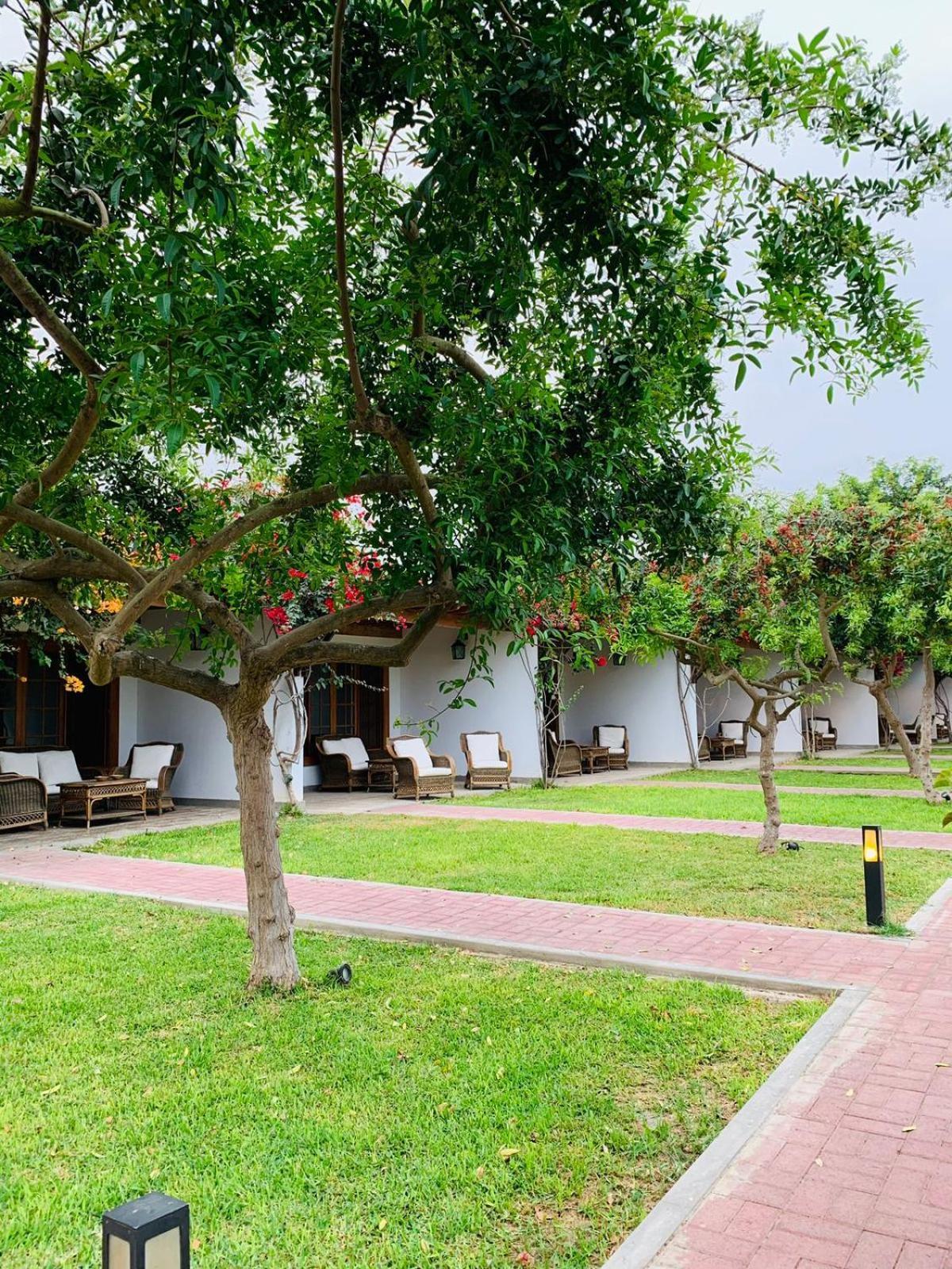 Casa Hacienda San Jose Otel Chincha Alta Dış mekan fotoğraf